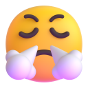 😤